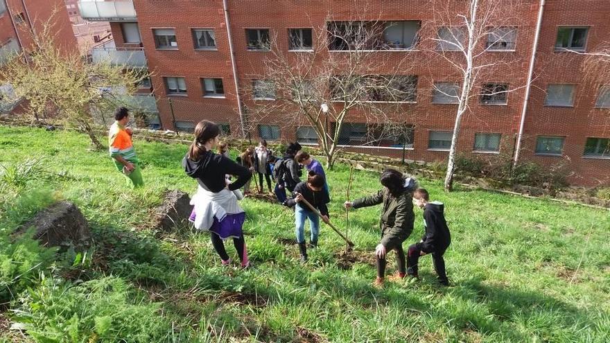 Bilboko Udala 850 zuhaitz berri ari da landatzen urian zehar