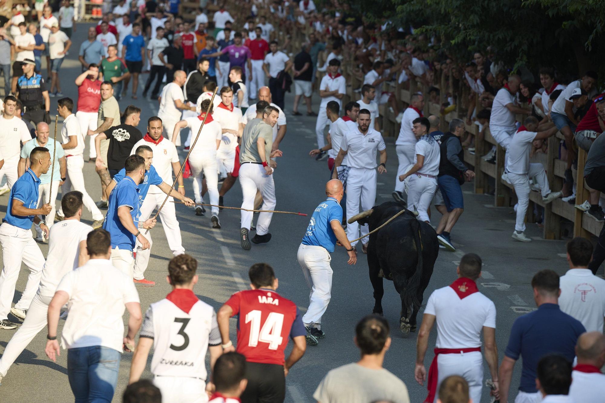 Fotos del primer encierro de fiestas de Tafalla