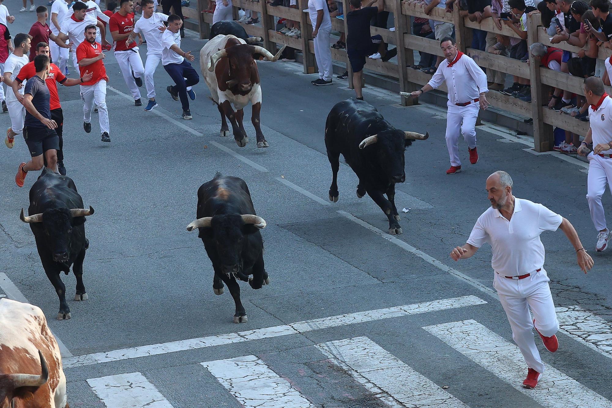 Fotos del segundo encierro de fiestas de Tafalla 2025