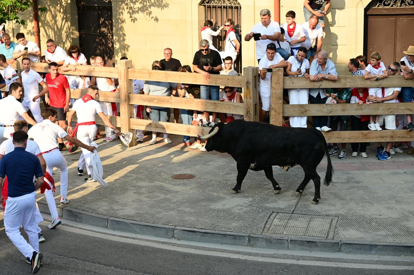 Fotos del primer encierro de fiestas de Tafalla