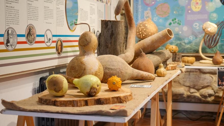 Calabazas que son obras de arte
