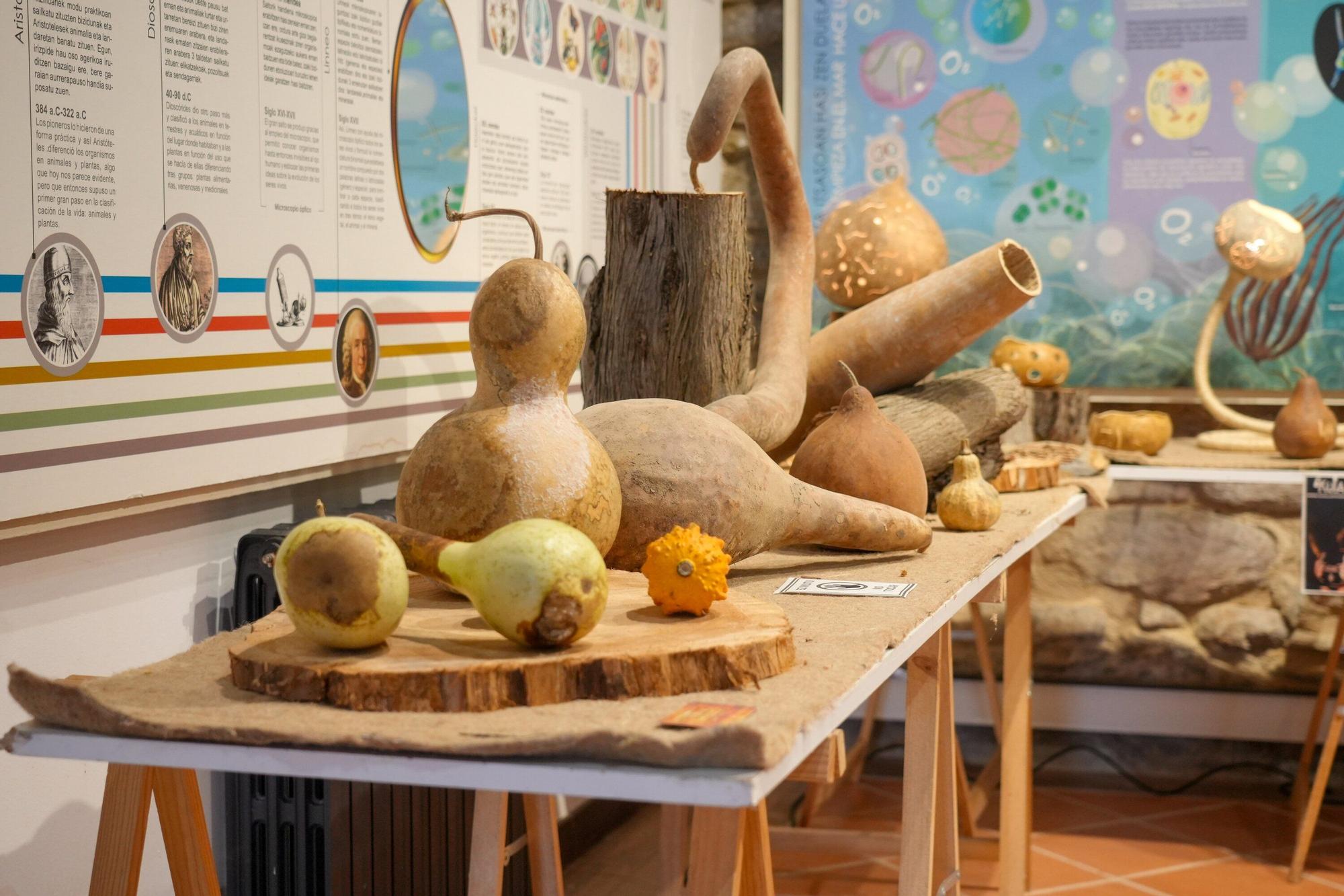 En imágenes: Exposición de calabazas en la Casa de la Dehesa