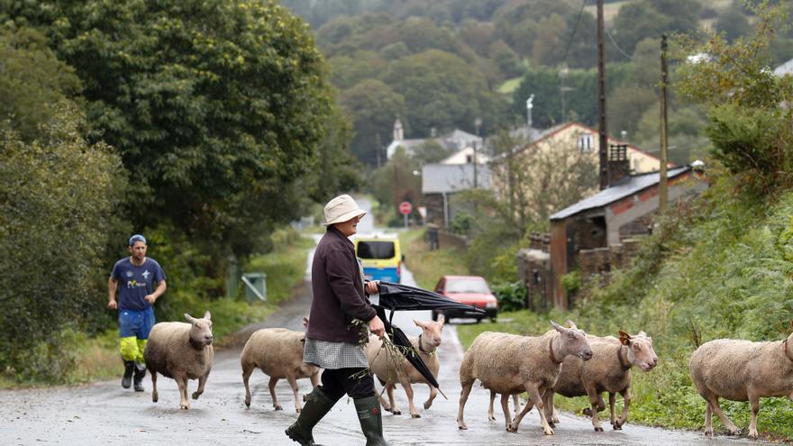 Resuelto tres años después el misterio de un anciano desaparecido en Lugo: un vecino lo atropelló y ocultó el cuerpo