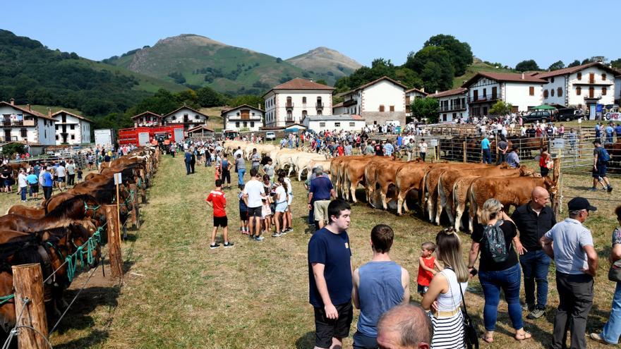 &#039;Artzai Eguna&#039; en Amaiur a más de 40 grados