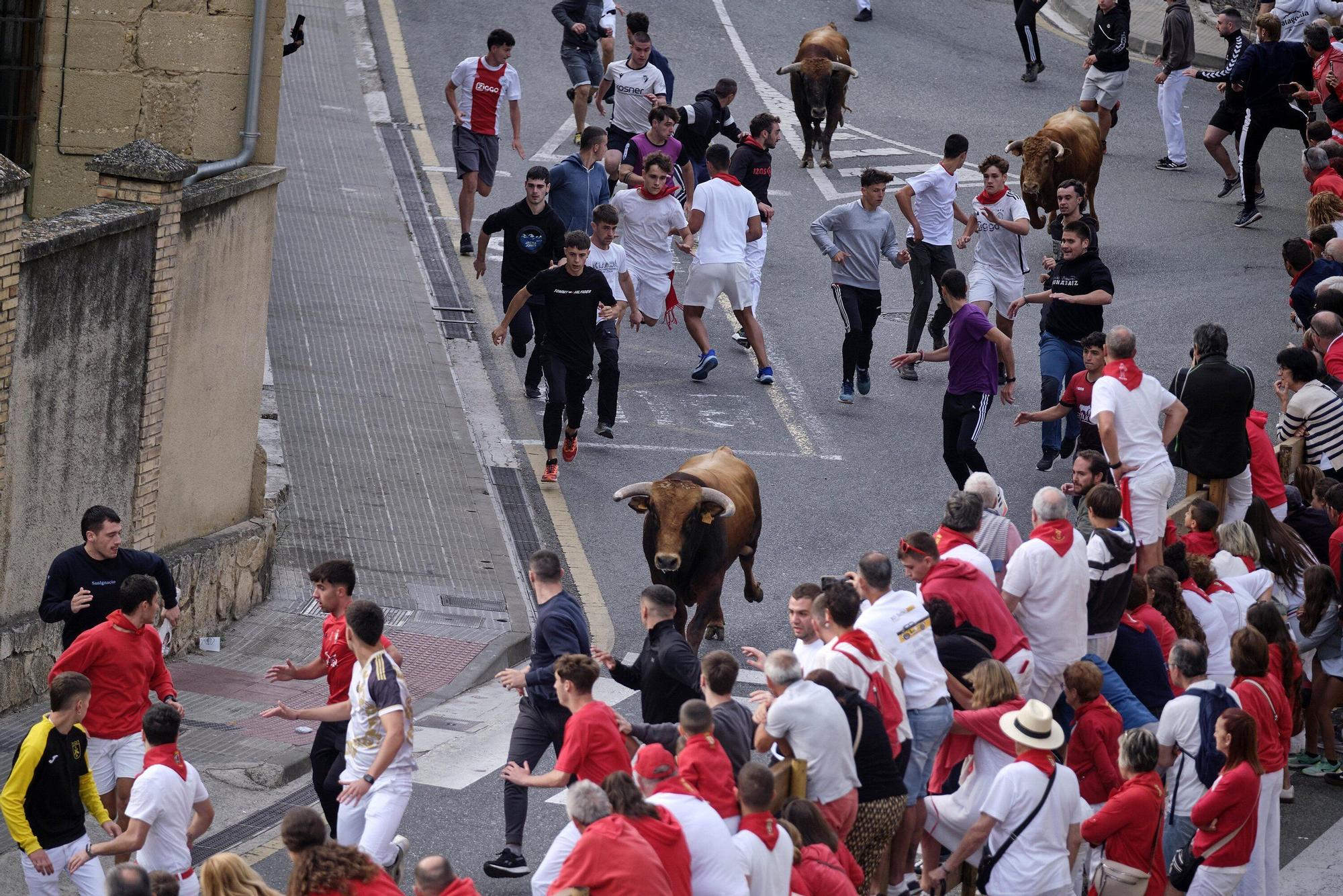Tercer encierro de Estella