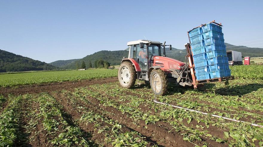 Las empresas y asociaciones agrarias de Vitoria podrán obtener hasta 24.000 euros para contratación e inversiones