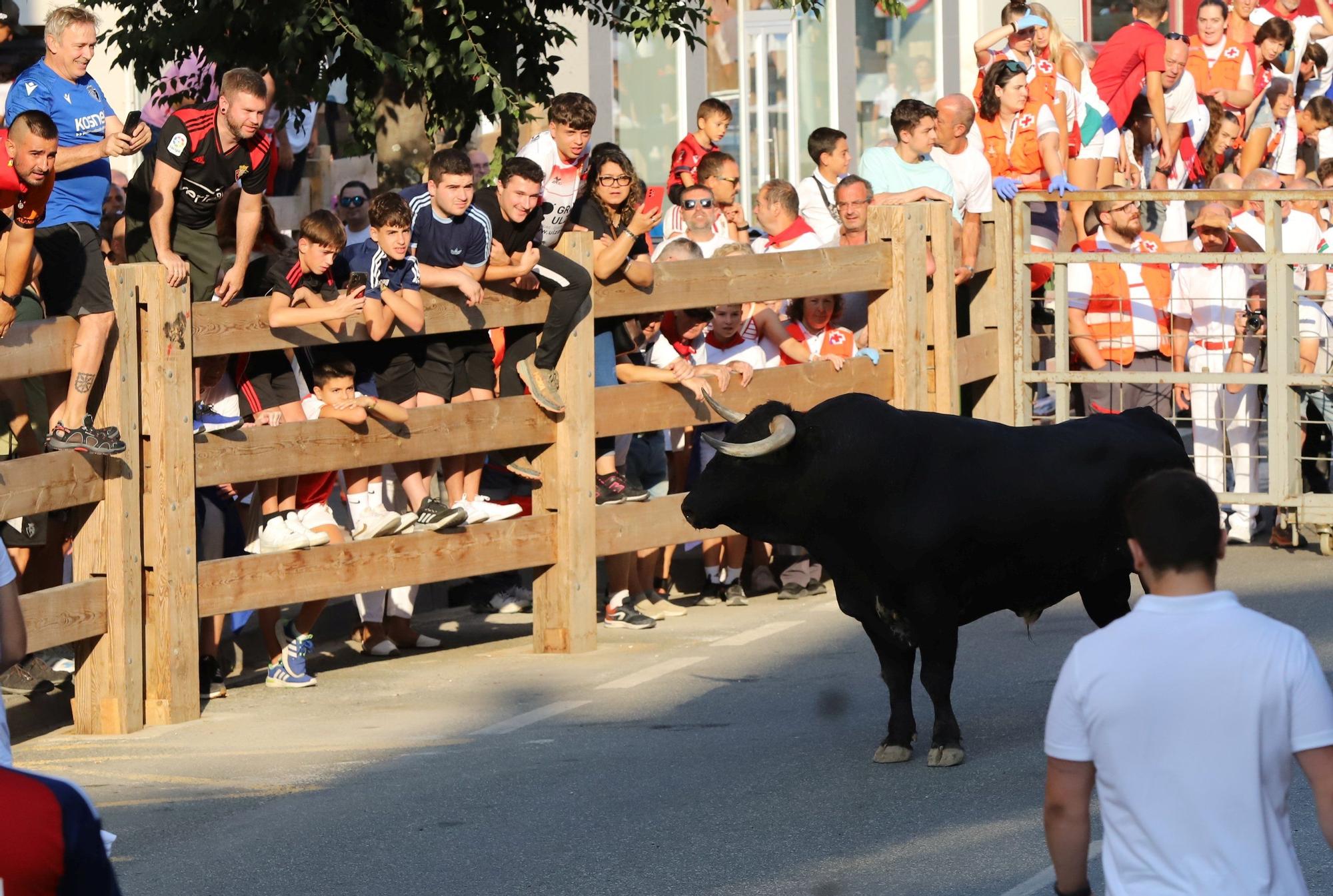 Fotos del primer encierro de fiestas de Tafalla