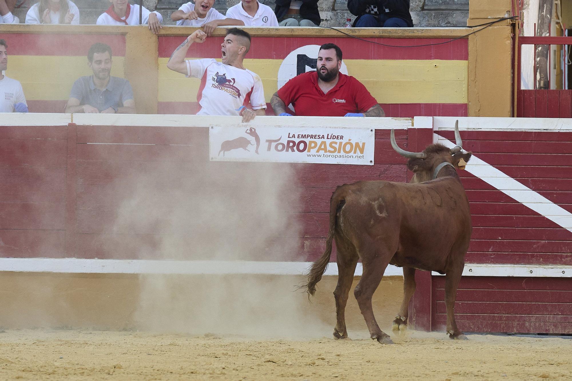 Concurso de recortadores con anillas