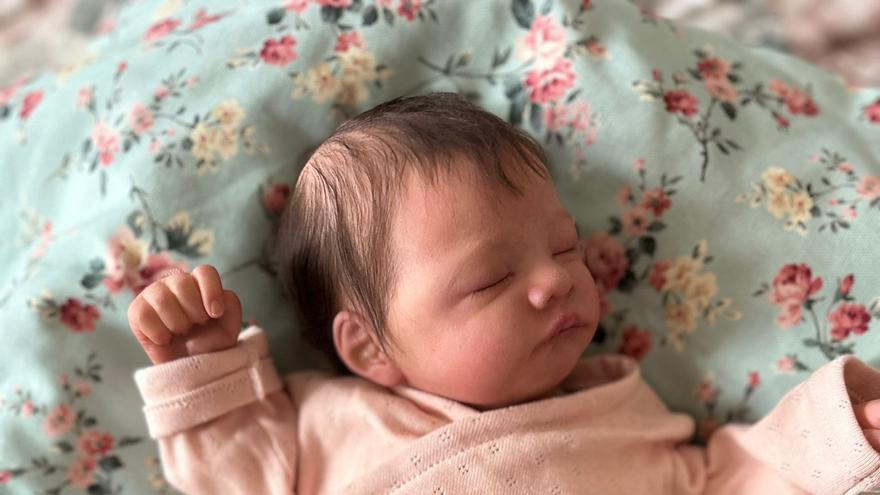 Llega la tercera exposición de bebes reborn a Vitoria