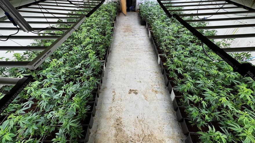 Condenado a siete años de cárcel por matar a un ladrón que entró a robar marihuana en su finca