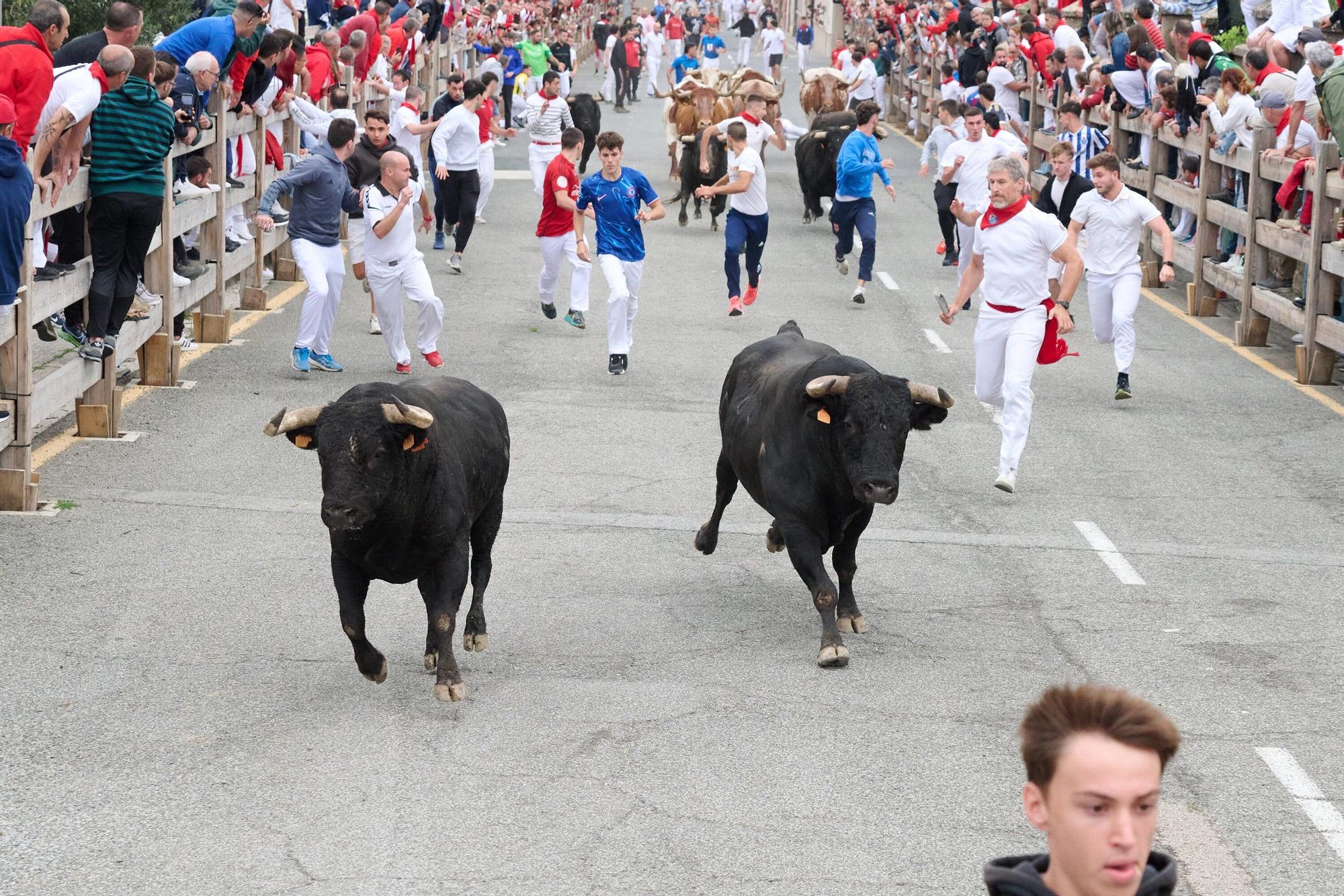 Fotos del segundo encierro de las fiestas de Sangüesa 2025