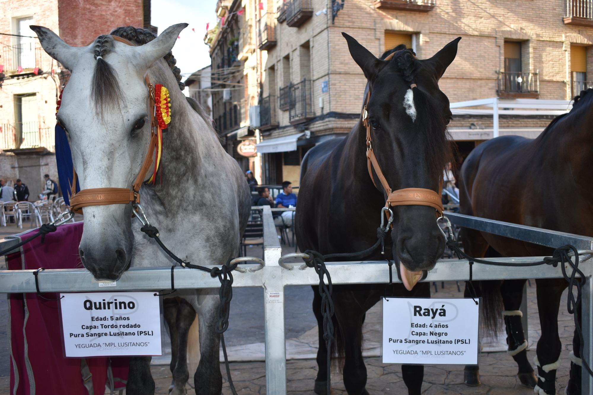 Fotos de las Ferias de Marcilla 2025