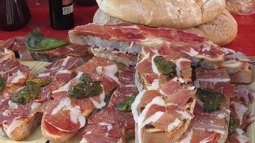 Unas tostadas con tomate: el origen del brote de salmonelosis que deja más de 500 afectados en Huesca