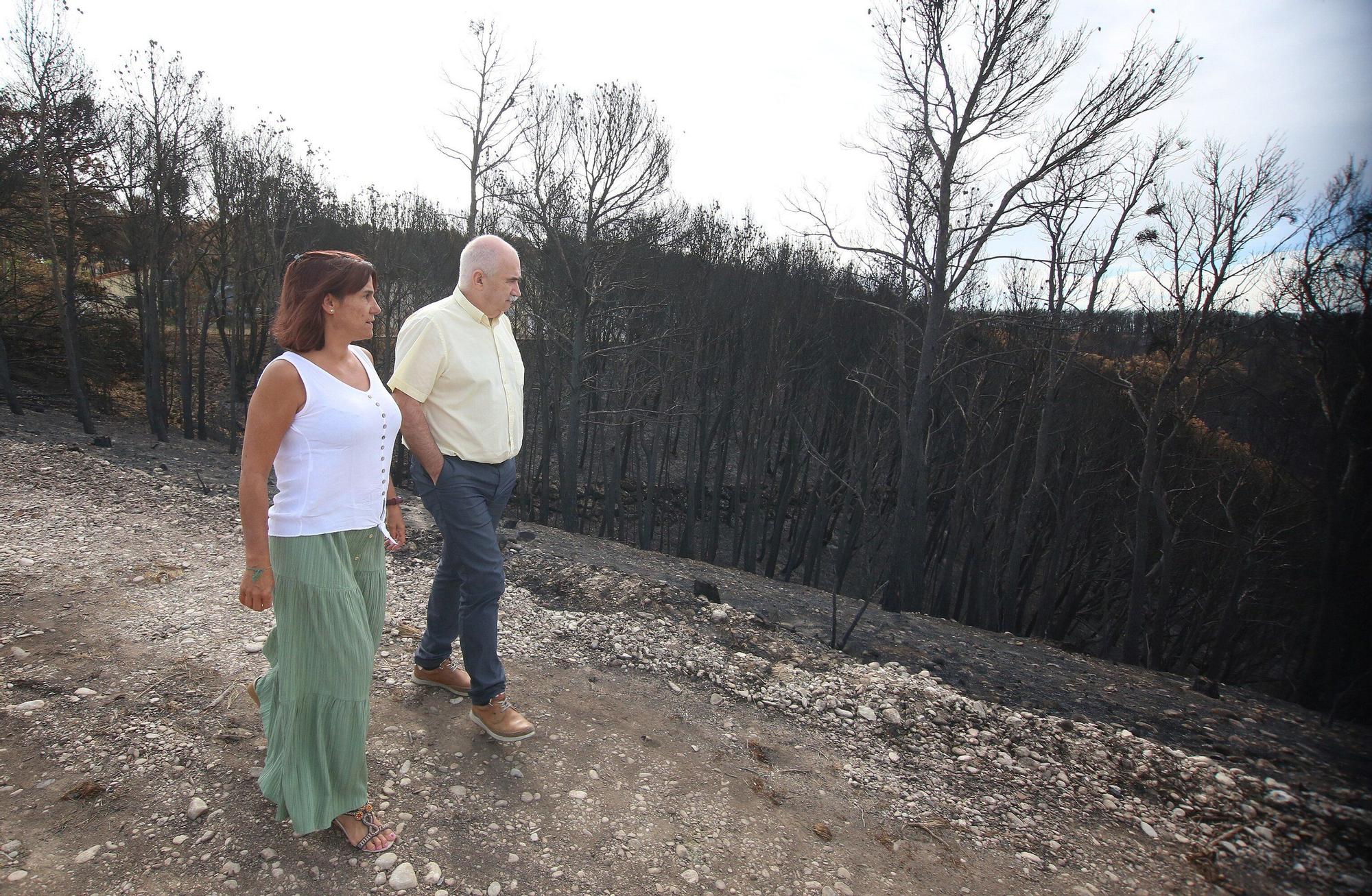 Así han quedado los montes afectados por el incendio de Carcastillo