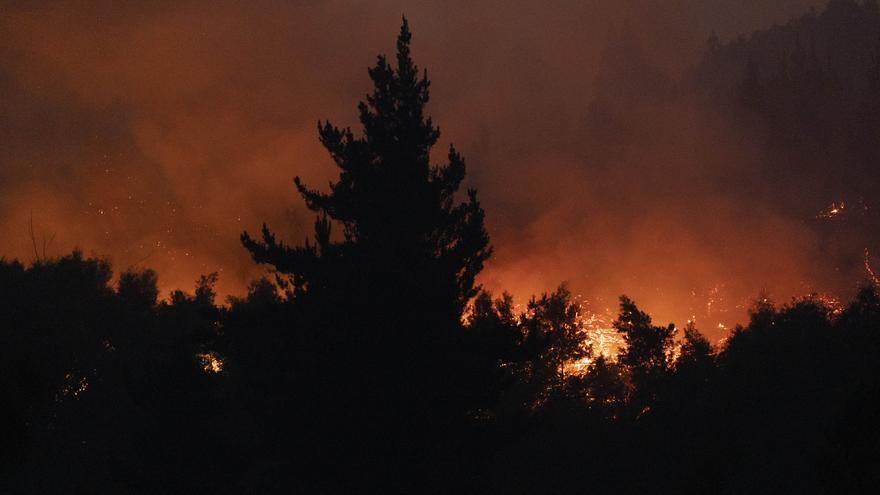 Los incendios forestales arrasan Chile: 40.000 hectáreas calcinadas y al menos 20 fallecidos