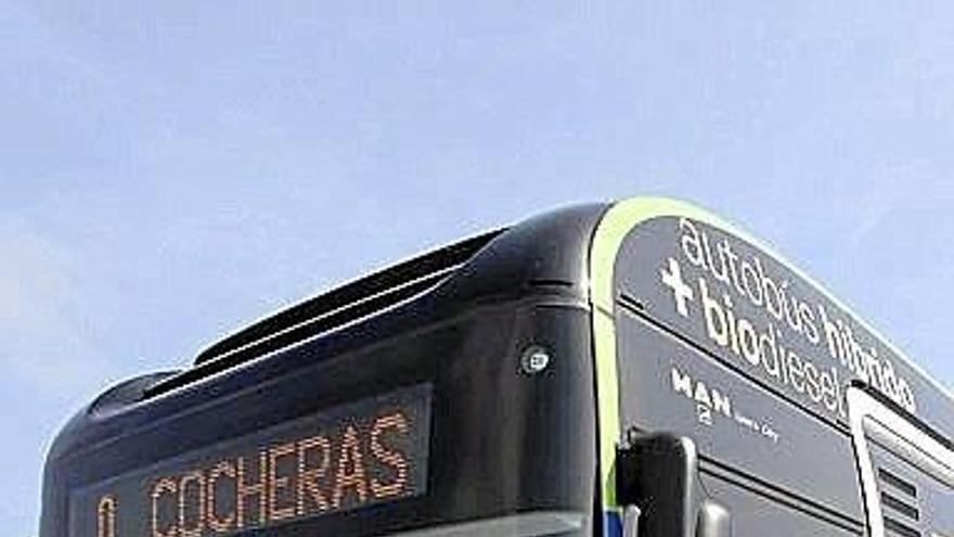 Siete de cada diez usuarios de los autobuses municipales son mujeres