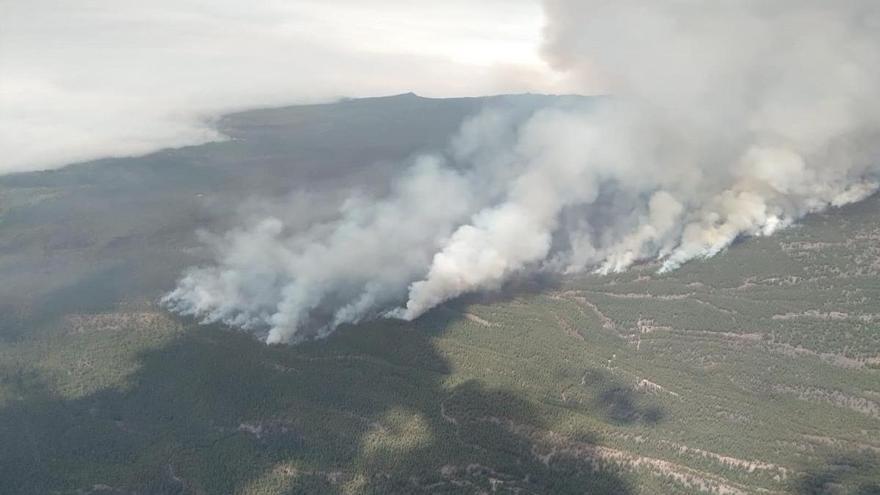 Casi 100.000 hectáreas calcinadas en dos semanas, más que en todo 2021