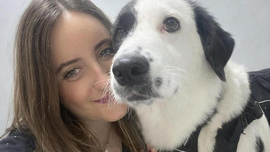 “En la peluquería se detectan a menudo bultos o heridas que han pasado desapercibidas”