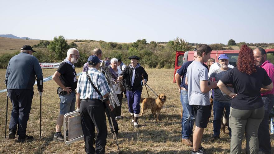 En imágenes: LXI edición del Campeonato de Araba de Perro de Pastor