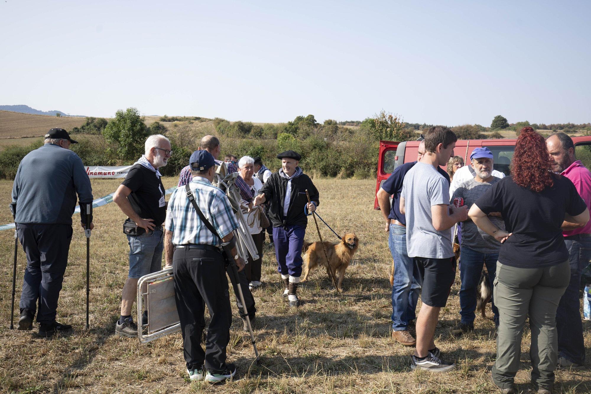 En imágenes: LXI edición del Campeonato de Araba de Perro de Pastor