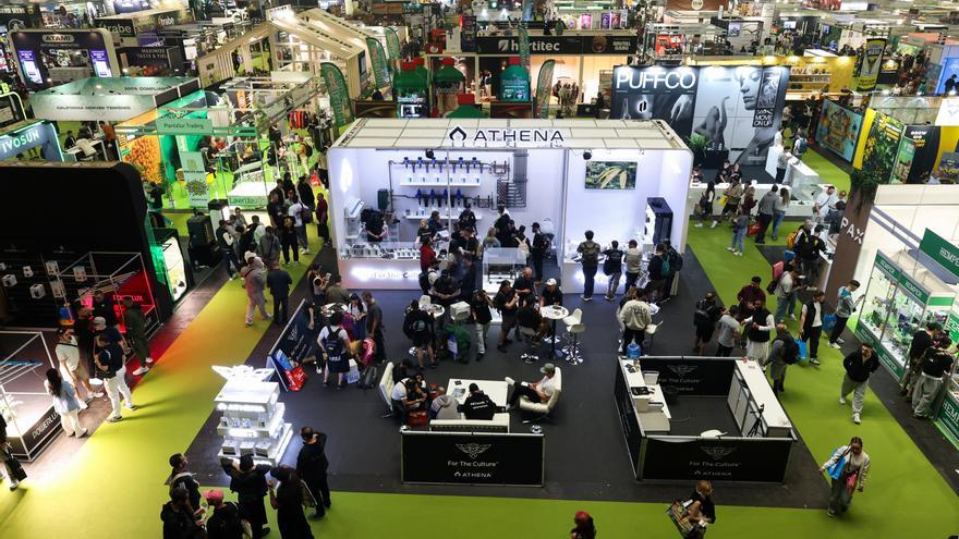 Spannabis, el lugar para buscar remedios contra el dolor