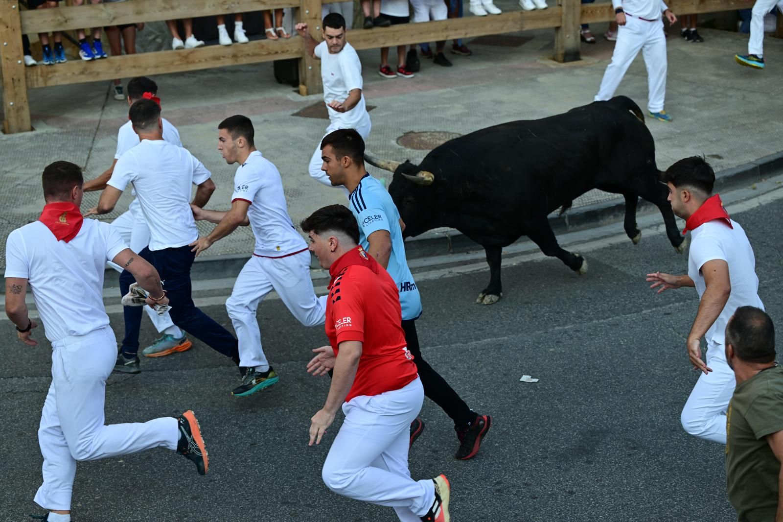 Fotos del segundo encierro de fiestas de Tafalla 2025