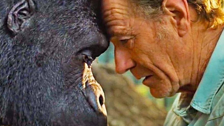 Santiago Colomo: &quot;Lo del Oscar es un poco más estresante&quot;