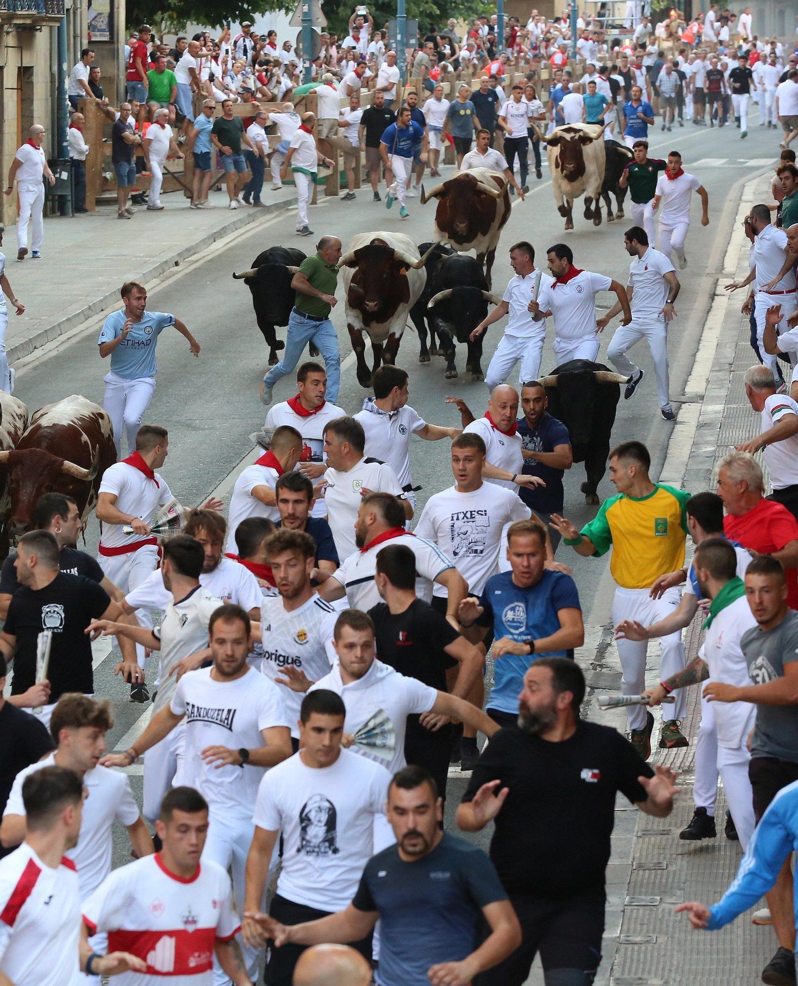 Fotos del primer encierro de fiestas de Tafalla