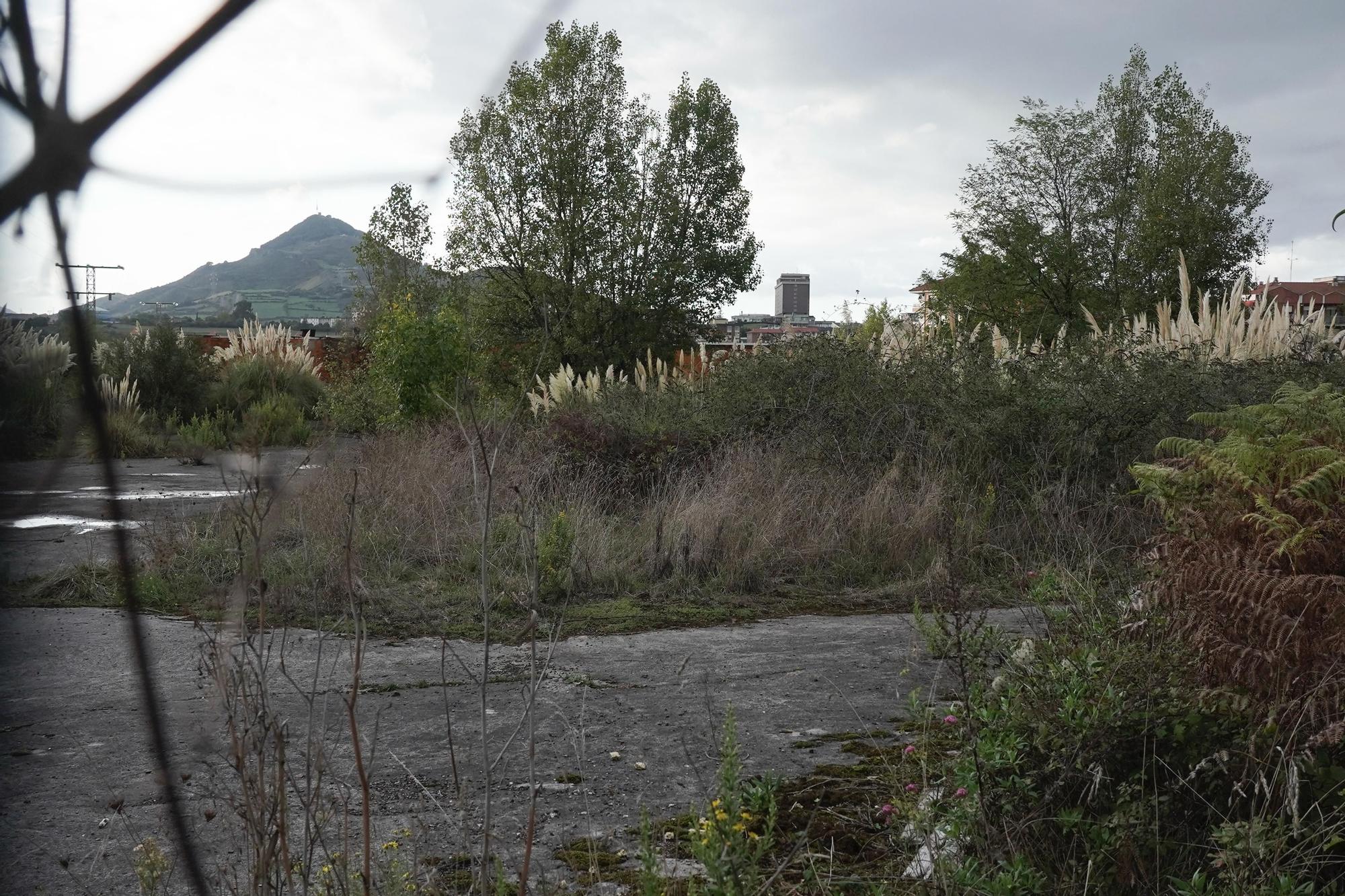 En imágenes: desalojan una fábrica abandonada de Portugalete