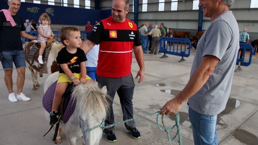 Mungia retoma el domingo la feria de ganado