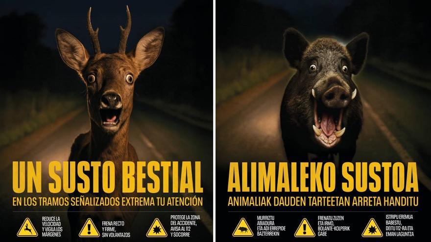 Navarra registró más de un millar de accidentes de tráfico con animales en 2024