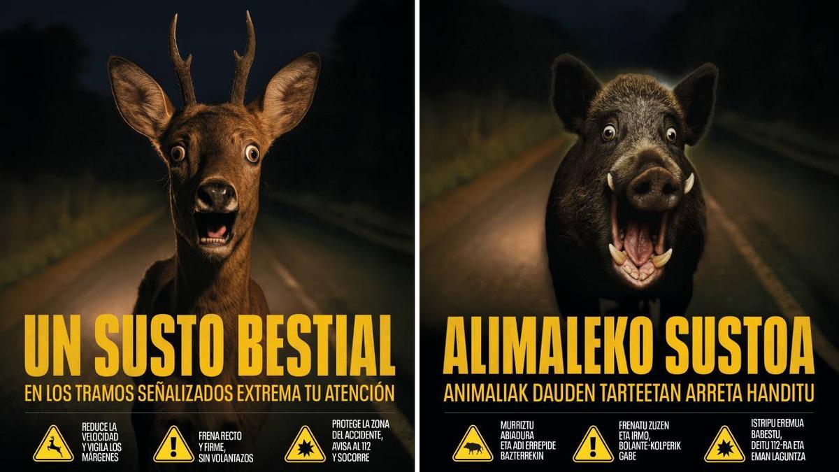 Carteles de Tráfico Navarra para reducir los accidentes con fauna silvestre en carretera