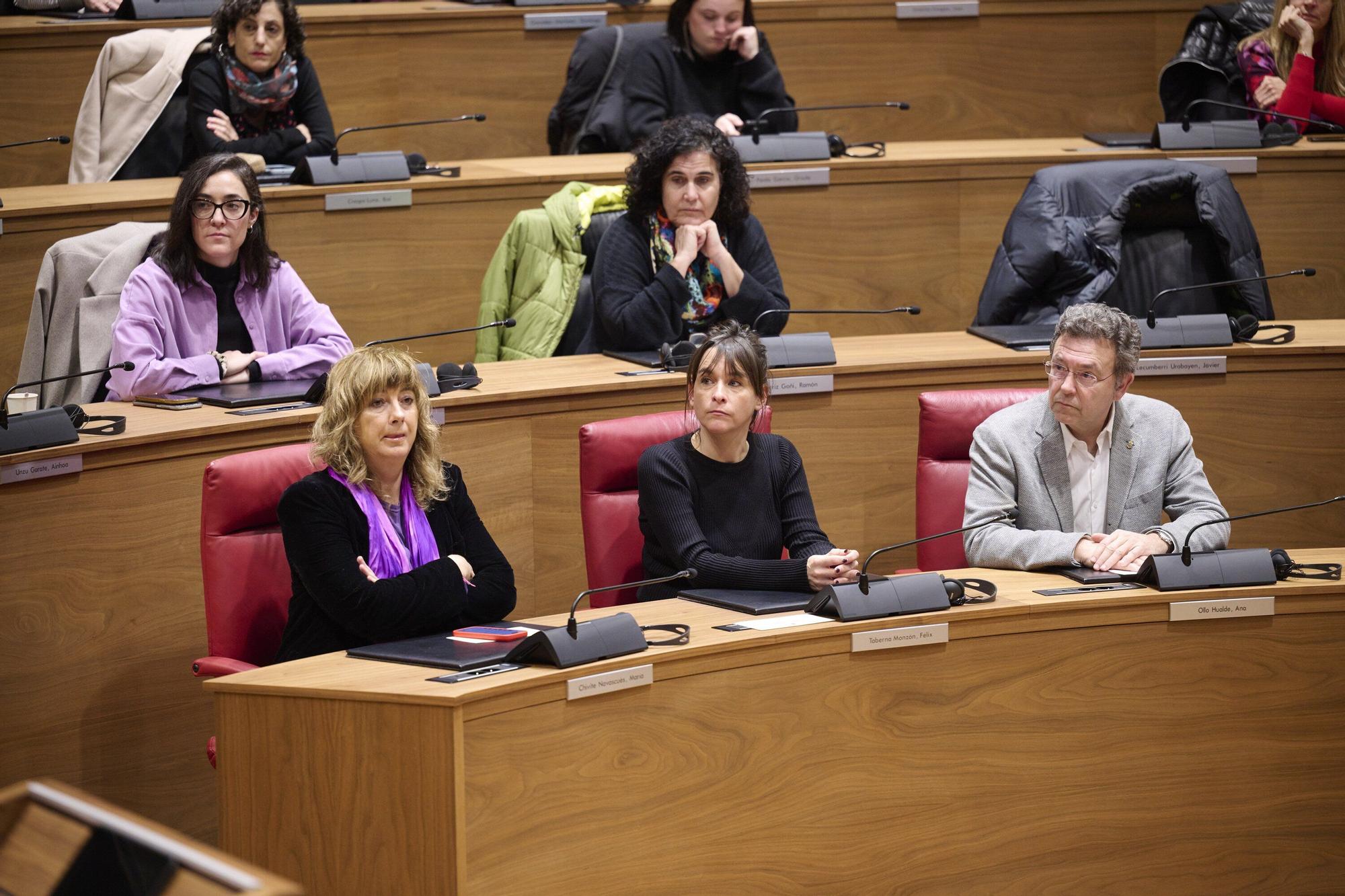 Conmemoración en el Parlamento de Navarra del Día Internacional de los Derechos Humanos