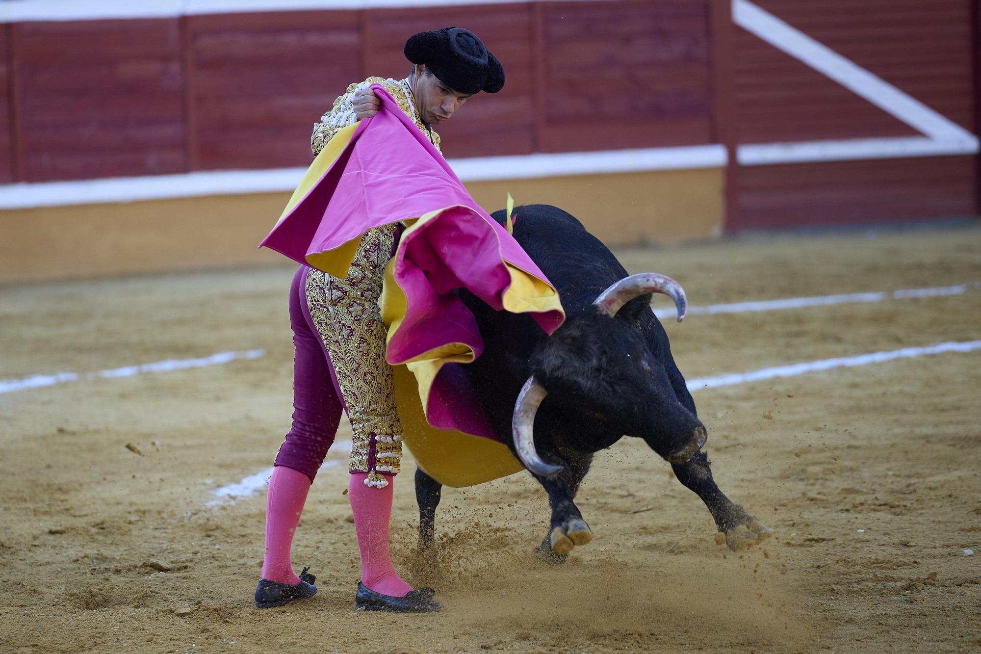 Fotos de la corrida de toros en Tudela con toros de Garzón Valdenebro