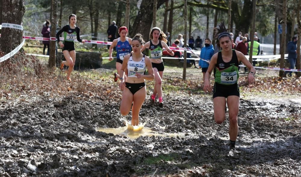 Campeonatos Navarros de Cross