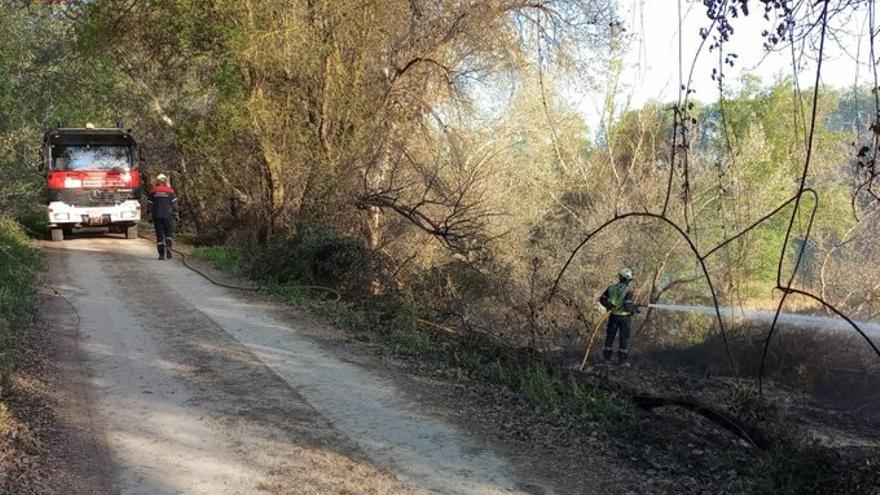 Controlan un incendio forestal en la ribera del río en Cabanillas