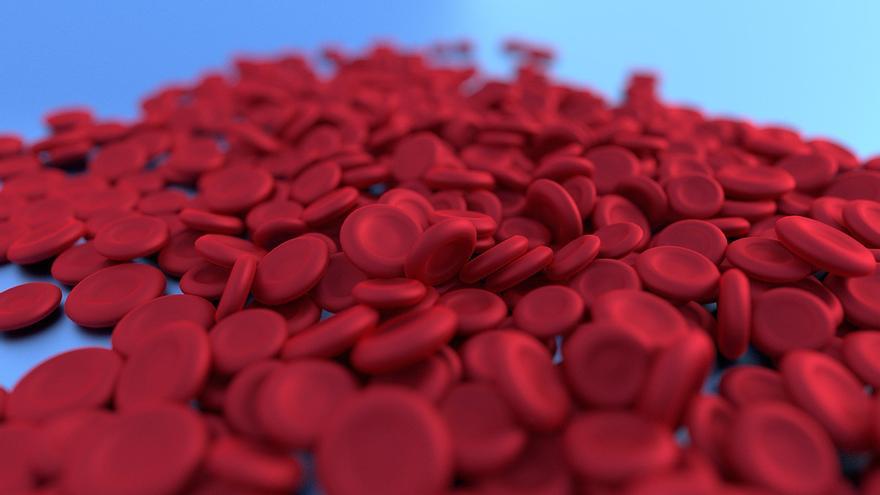 Cinco consejos para prevenir la anemia