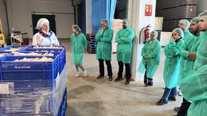 El espárrago genera interés académico
