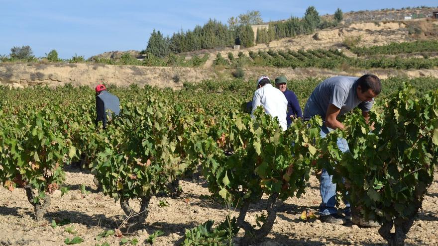 Ramiro González reclama pagar un precio justo por la uva en Rioja Alavesa