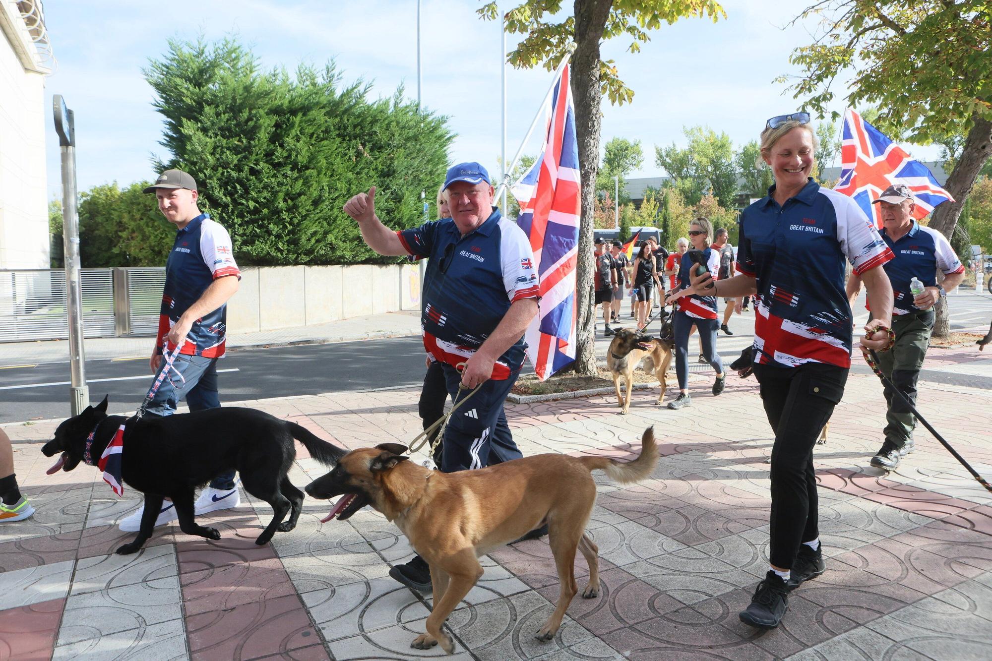 En imágenes: Perros de élite desfilan por Vitoria-Gasteiz por el 'Campeonato Mundial FCI-IGP'