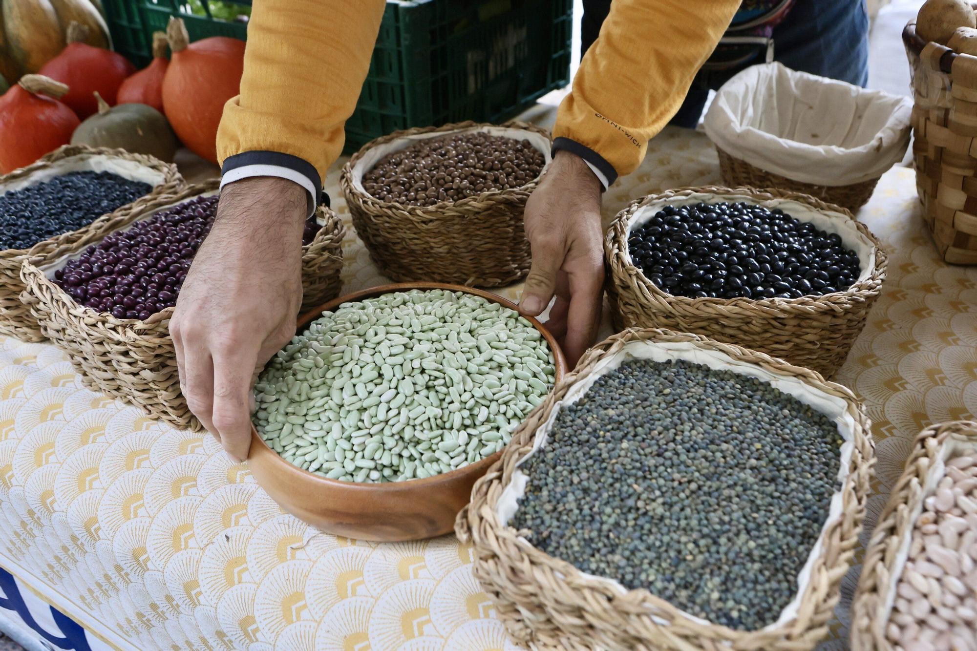 Bionekaraba: La agricultura ecológica brota en los Fueros