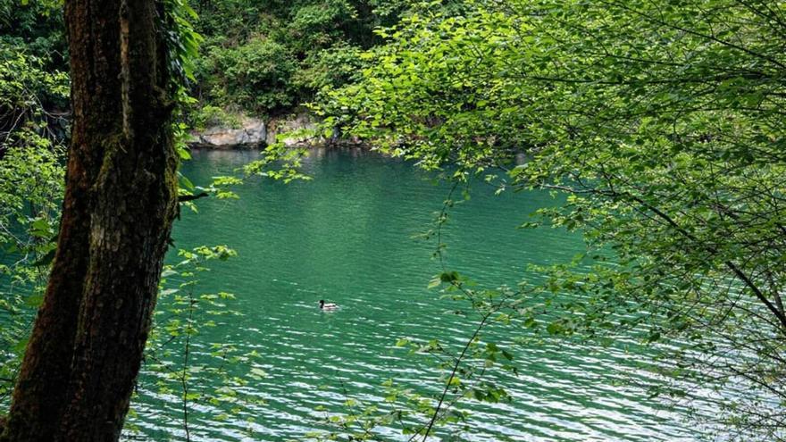 La ruta "sencilla y preciosa" a 15 minutos de Bilbao