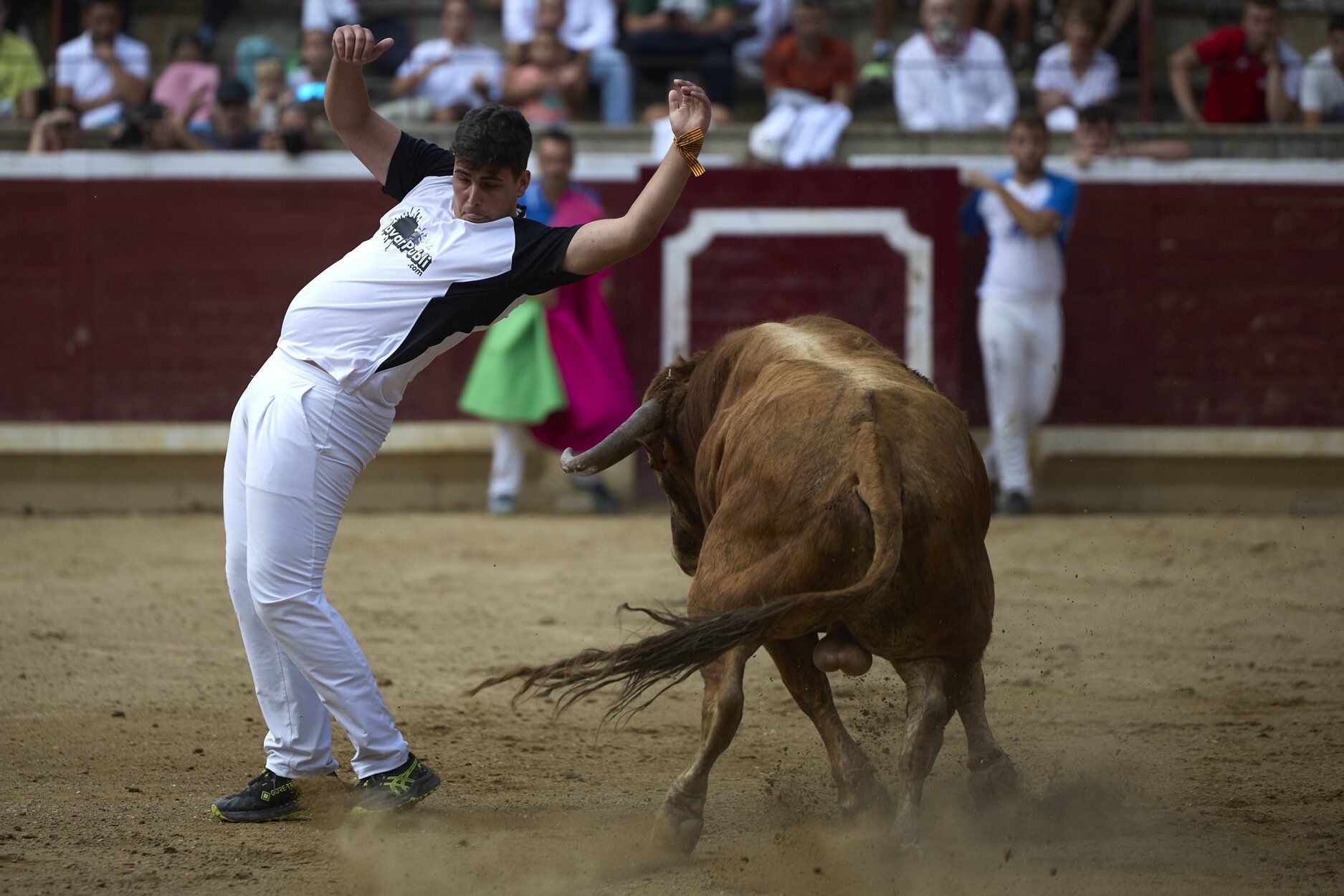 Fotos del concurso de recortadores de fiestas de Tafalla