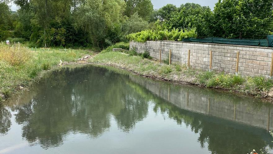 La Diputación Foral de Álava finaliza la restauración del humedal de La Pauleja en Zambrana