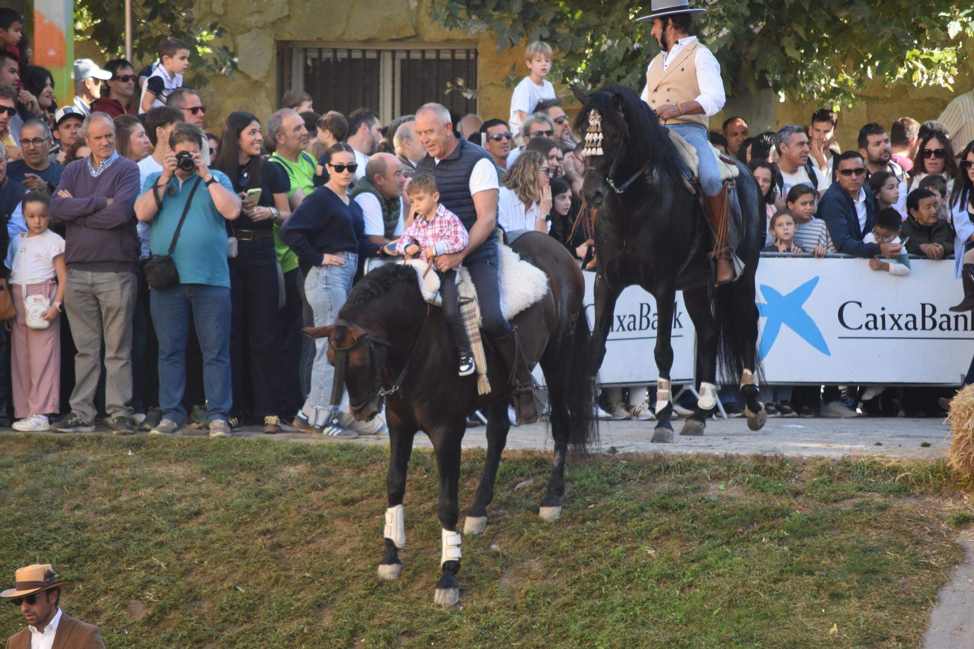 Fotos de las Ferias de Marcilla 2025