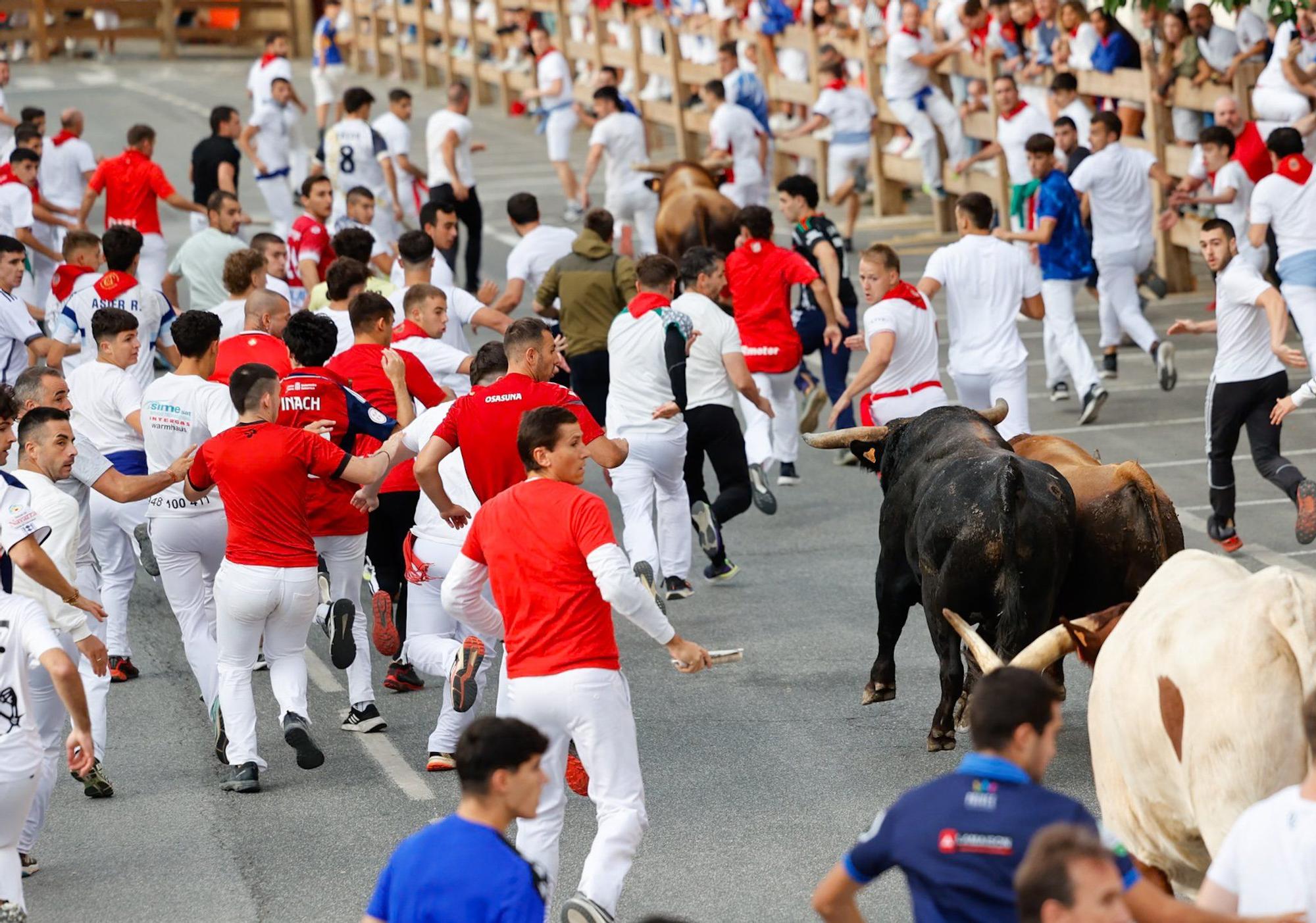 Fotos del quinto encierro de las fiestas de Tafalla 2025