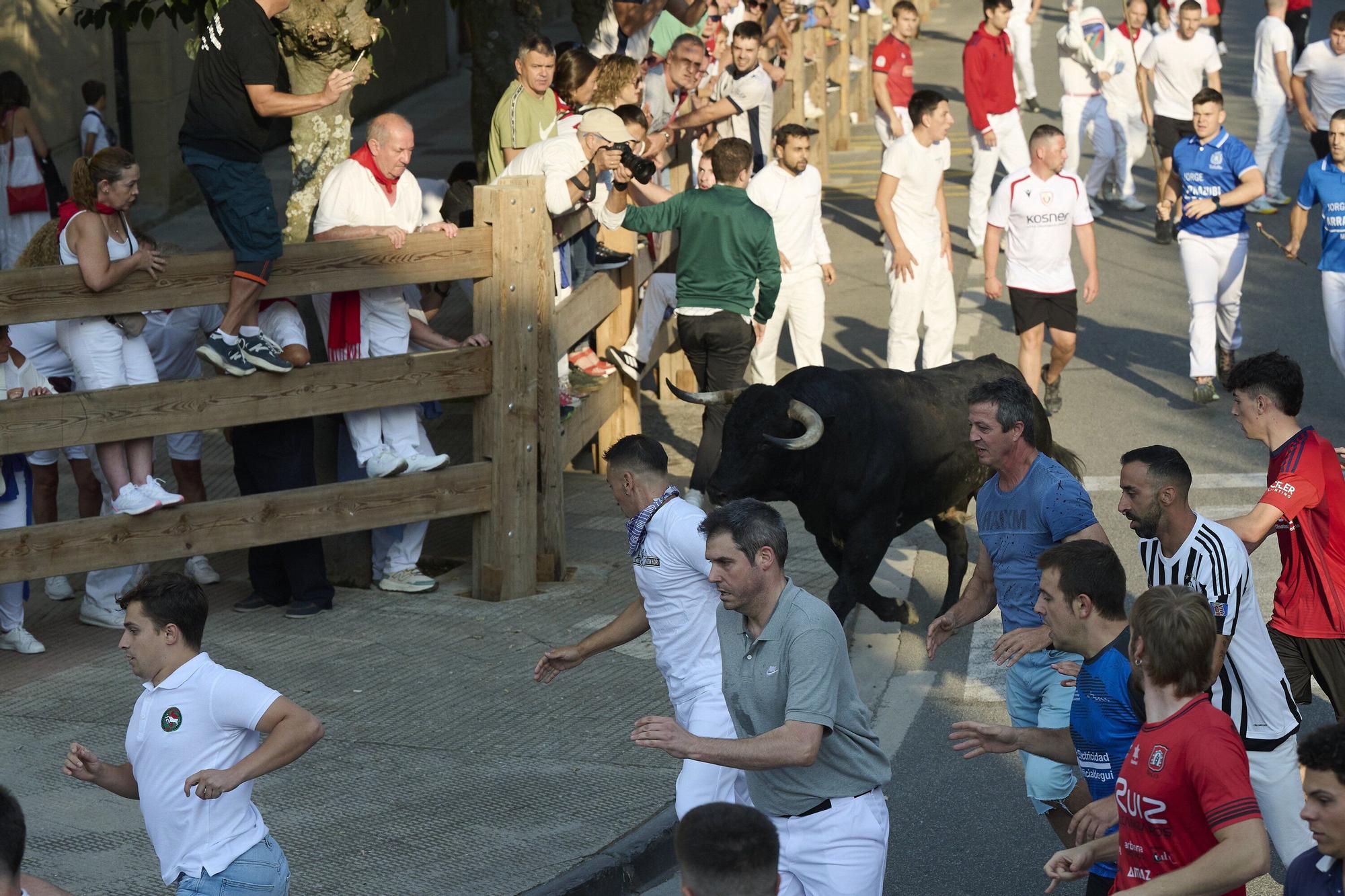 Fotos del primer encierro de fiestas de Tafalla
