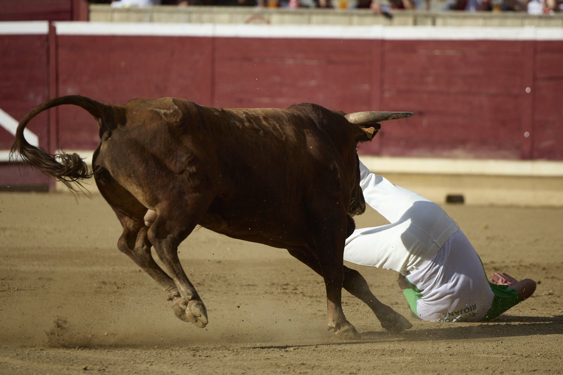 Fotos del concurso de recortadores de fiestas de Tafalla