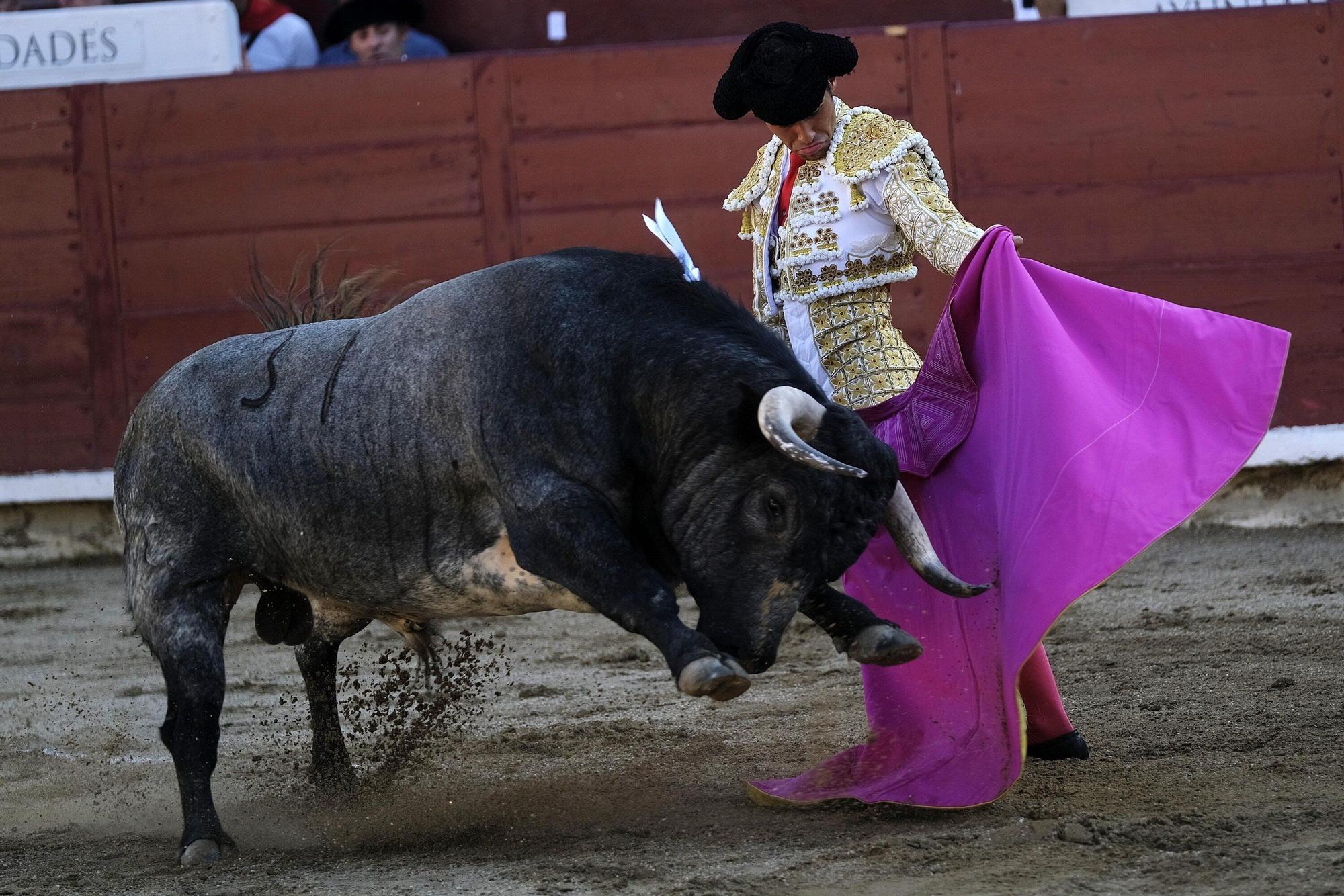 Fotos de la corrida con toros de Partido de Resina en fiestas de Estella-Lizarra