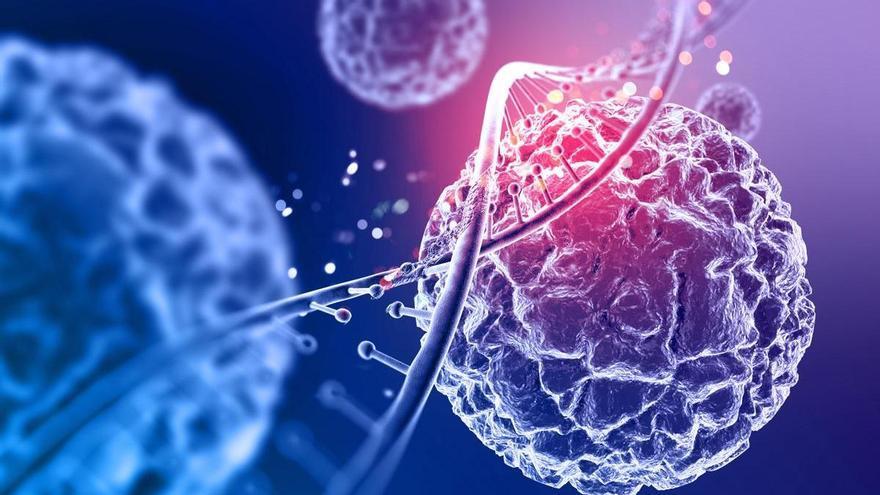 Imprimen modelos tumorales en 3D con células de cáncer de mama para el ensayo de fármacos